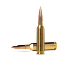 6 mm creedmoor 6.9g/107gr golden target